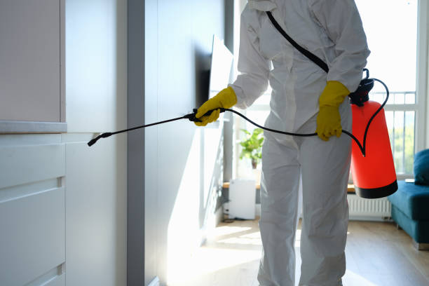 Best Localized Mold Remediation (e.g., coastal areas, humid climates) in Pacific, WA