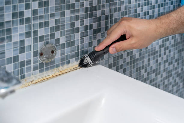 Best Emergency Mold Remediation in Pacific, WA