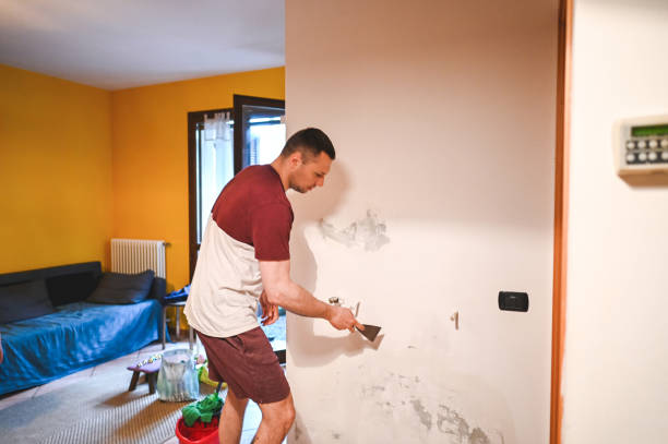 Best Post-Remediation Services in Pacific, WA